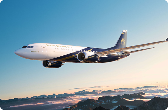 VIP airliner picture